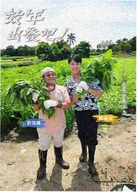 花房夜谈峰值前移档案缩略图
